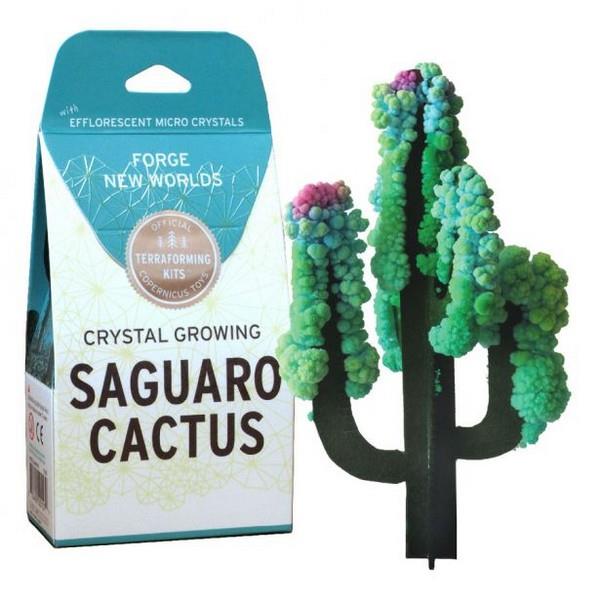 Copernicus Crystal Growing Kit Saguaro Cactus | The Gifted Type