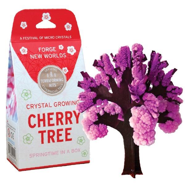 Copernicus Crystal Growing Kit Cherry Tree | The Gifted Type