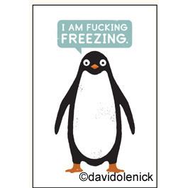 I Am Fucking Freezing | Magnet | The Gifted Type