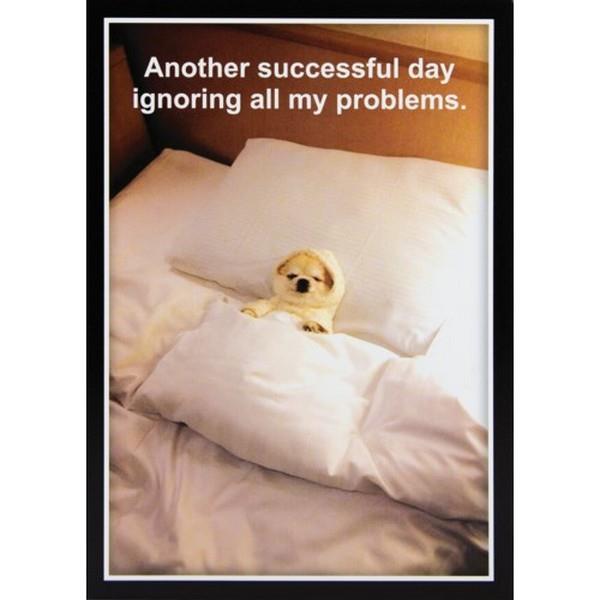 Successful Day 100-17060