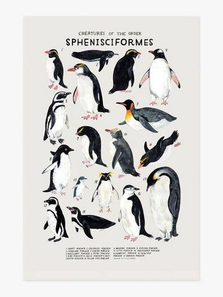 Creatures of the Order Sphenisciformes Print 8x10