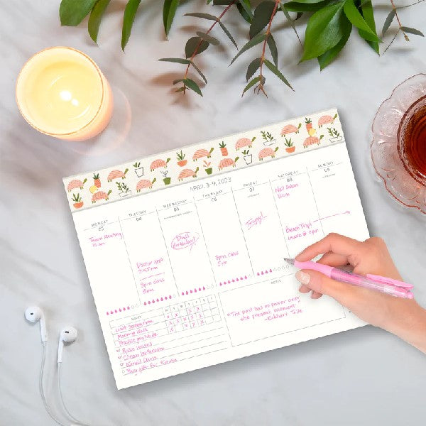Studio Oh! 2023 17-Month Weekly Desk Calendar | Turtle Garden