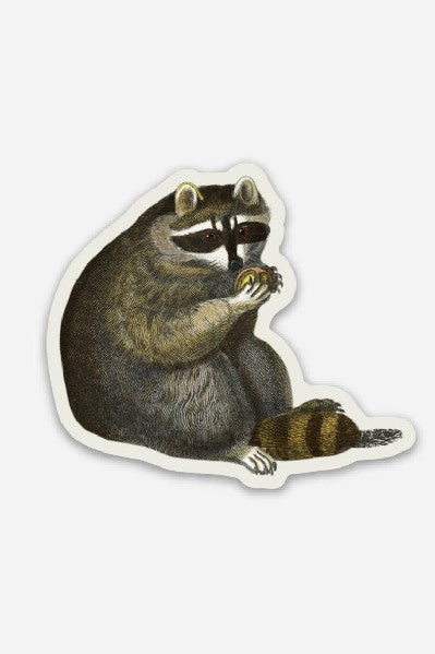 Stay Home Club Sticker | Unbothered Raccoon